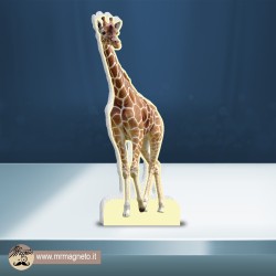 Sagoma Giraffa 01