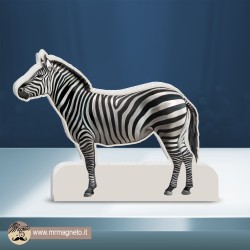 Sagoma Zebra 01