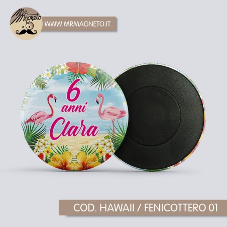 Calamita Hawaii / fenicottero 01