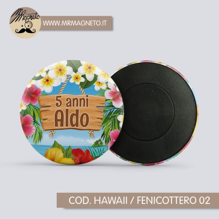 Calamita Hawaii / fenicottero 02